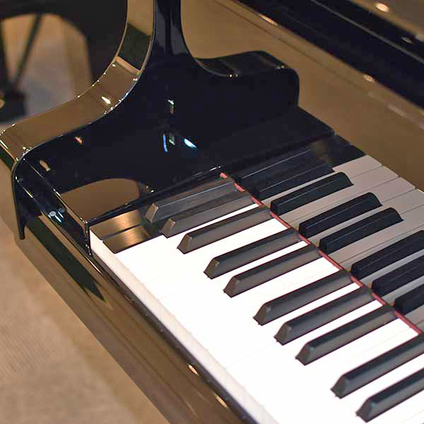 中古ベーゼンドルファー225|bosendorfer225|展示|販売|購入|ベーゼンドルファー225|